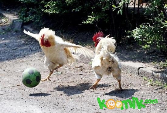 komik resim