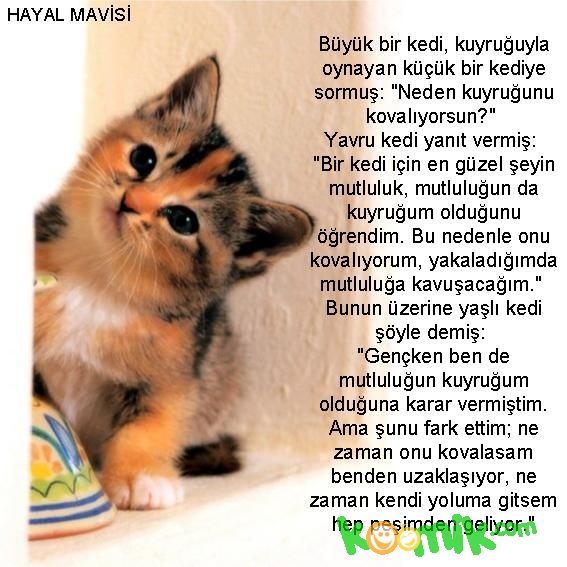 komik resim