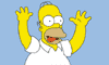 Homer amca oynasın