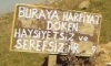 Haysiyetsiz