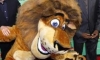 Aslan max 