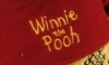 Ayı Winnie