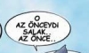 O az önceydi salak