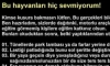 Bu hayvanları sevme