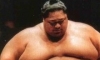 Sumo